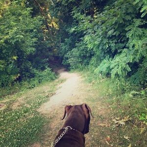 Meet your Posher, Benj